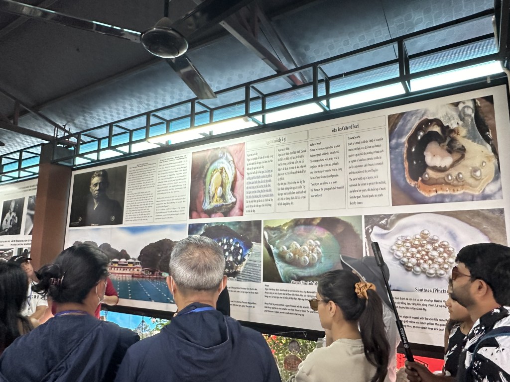 A detailed poster showcasing the various types of oysters cultivated at the farm, displayed during the demo. The poster illustrates the different stages of growth and types of pearls produced, offering insight into the fascinating pearl farming process. The clear visuals and informative layout make it an engaging educational feature for visitors learning about the art of oyster cultivation and pearl harvesting.