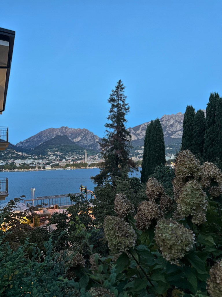 A serene lakeside view featuring mountains in the background, with lush greenery and flowering plants in the foreground under a clear blue sky.