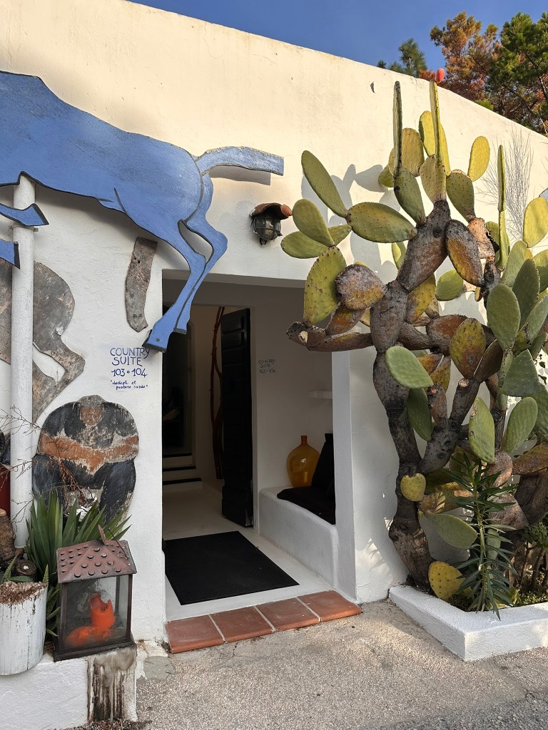 Exterior view of a building entrance featuring a blue horse sculpture, a cactus, and decorative plants, with a sign indicating 'Country Suite 103-104'.